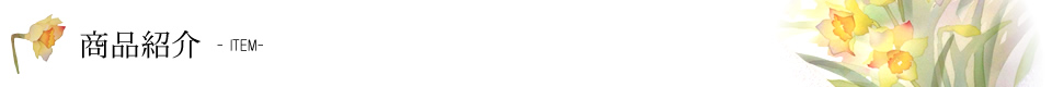 商品紹介